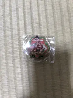 RIZIN 会場限定アクリルスタンド イルホムノジモフ