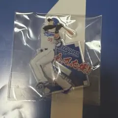 中日ドラゴンズ アクスタくじ 細川