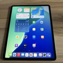 ipad pro 12.9 第4世代 128