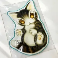 新品未使用　わちふぃーるど　ダヤン　ハンカチ　タオル　さわってダヤン　猫
