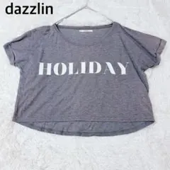 dazzlin ダズリン ロゴ Tシャツ グレー カジュアル 半袖 フリーのサムネイル