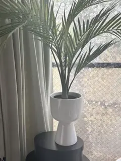 ✨新品✨  イッタラ ナップラ 230×155mm ペールグレー 楽天市場】イッタラ ナップラ プラントポット 230x155mm iittala