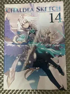 CHALDEA SKETCH 14