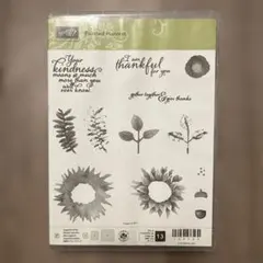 スタンピンアップ painted harvest クリアスタンプのサムネイル