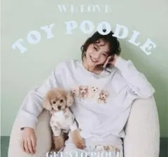 ジェラートピケ 【HOMME】パウダーノルディック DOGジャガード
