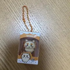 ちいかわ　チョコボックス　シーサー