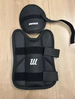 Item thumbnail for item acfac7b7-908b-4c60-860f-ba7cf01181a5