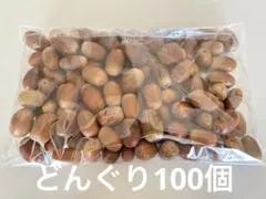 どんぐり100個