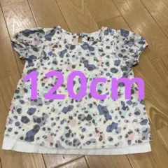 Item thumbnail for item 5b4a4123-aee9-4aa4-9f26-32352d327ef6