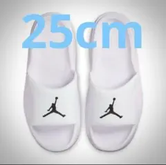 NIKE ジョーダン フランチャイズ スライド サンダル 25cm