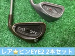 2026年最新】ピン eye2 ベリリウムカッパーの人気アイテム - メルカリ