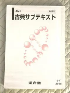 2025 古典サブテキスト 河合塾 - メルカリ