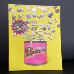 嵐 Popcorn ツアーパンフレット