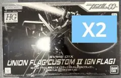 HG グラハム専用ユニオンフラッグカスタムII GNフラッグX2