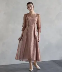 Aimer エメ グリッターレース袖付きフィット＆フレアパーティードレス 結婚式のサムネイル