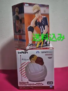 ハイキュー!! ぬーどるストッパー、ルームライト