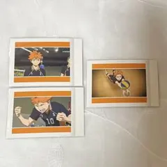 ハイキュー!! ゴミ捨て場の決戦 ぱしゃこれ 日向翔陽