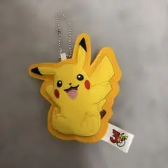 ポケモン ワッペンチャーム 30th Anniversary ピカチュウ