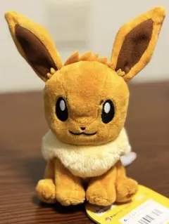 新品タグ付 ポケットモンスター イーブイ Pokémon fit ぬいぐるみ