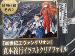 ヤングエース 5月号 6月号 特典 エヴァンゲリオン ファイル 2枚セット