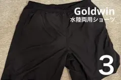 Goldwin ナイロンショーツ 3(Lサイズ) 7インチ 水陸両用のサムネイル