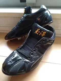 Item thumbnail for item 06460349-bb67-4cc6-90c5-f0d054042a48