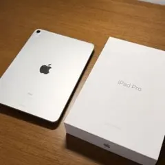apple ipad pro 11 第1世代 シルバー 256GB Wi-Fiのサムネイル
