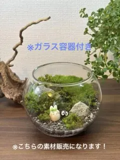 苔テラリウム　製作キット　フィギュア/ガラス容器付きのサムネイル