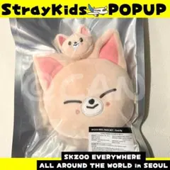 スキズ アイエン フォクシニー リールフェイスセット POPUP C118