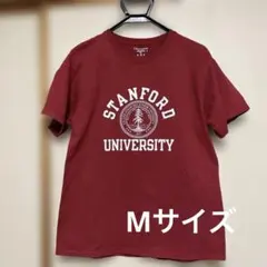 Champion スタンフォード大学 Tシャツ M