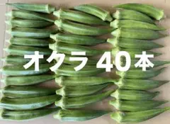 オクラ 朝どれ 40本 愛媛県産 ネコポスのサムネイル