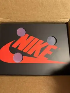 29.5cm]AIR JORDAN 1 アラスカ 新品未開封 送料込 - メルカリ