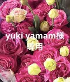 2025年最新】トルコキキョウ苗の人気アイテム - メルカリ