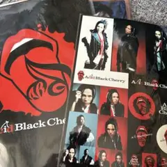 2007年フリーライブ バスタオル Acid Black Cherry 10 Acid Black Cherry 2007 フリーライブ バスタオル - メルカリ