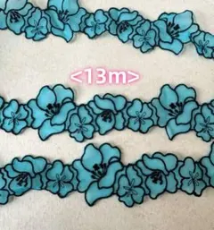柔らかい　オーガンジー　花柄刺繍レース　 13m