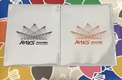 ⭐︎未開封⭐︎目黒蓮⭐︎向井康二⭐︎RAYS SnowMan チケット風カード2枚セット