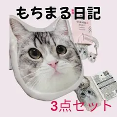 もちまる日記 × THREEPPY ダイソー 　 はなまるセット