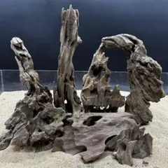 MMW-6273 特大マシンガンウッド　自立一点物　流木　アクアリウム MMW-6273 特大マシンガンウッド 自立一点物 流木 アクアリウム