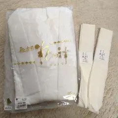 Item thumbnail for item 3a1c2e0a-c0c1-4215-bdf3-71e099a98faa