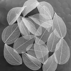 【4〜6cm】スケルトンリーフ 検品DIY ウェディング 装飾 レジン 花束