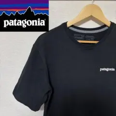 パタゴニアtシャツm