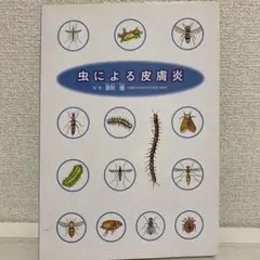 Item thumbnail for item 0349c295-c387-458f-909d-e94643e54456