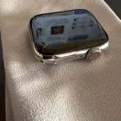 Apple Watch本体 ステンレススチール