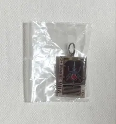 仮面ライダー めじるしアクセサリー 2