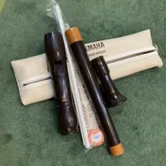 Item thumbnail for item 465dda6c-76af-496f-8818-2d6db05906d6