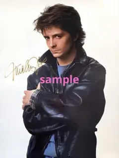 エフゲニープルシェンコさん 直筆サイン入り写真 エフゲニープルシェンコさん 直筆サイン入り写真 | Mercari
