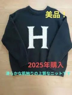 超お買い得！ 美品　スピックアンドスパン　リングロゴインターシャニット