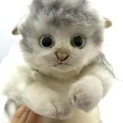 2025年最新】リーベねこぬいぐるみの人気アイテム - メルカリ