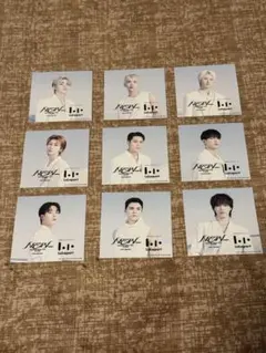SEVENTEEN ワールドツアー ステッカー コンプリート