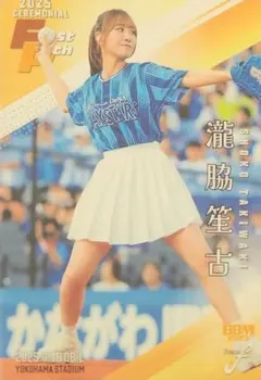 Item thumbnail for item 8e07df2f-5651-45d3-969c-78ef3dc4ae43